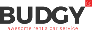 Лого на фирма партньор - Budgy